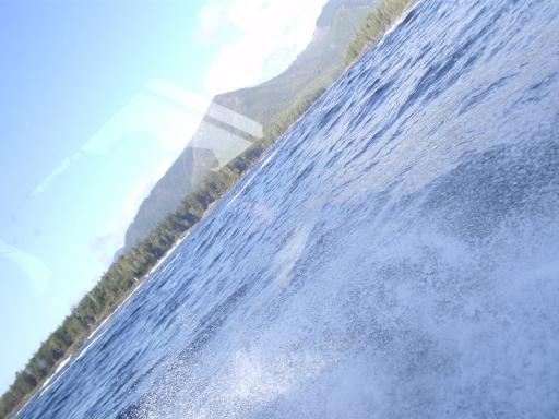 Tofino 059