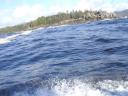 Tofino 060
