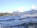 Tofino 062