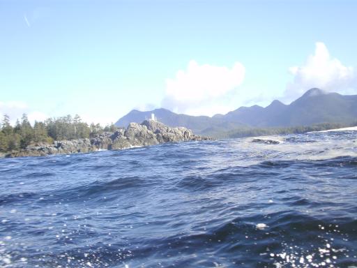 Tofino 062