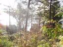 Tofino 071
