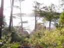Tofino 072