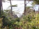 Tofino 074