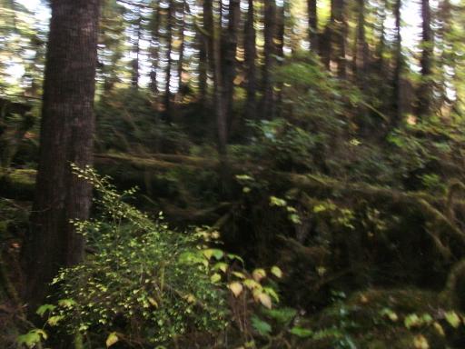 Tofino 080