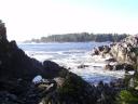 Tofino 081