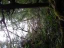 Tofino 107