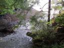 Tofino 109