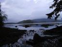 Tofino 124