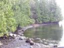 Tofino 137