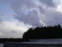 Tofino 139