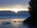 Tofino 164