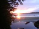 Tofino 173