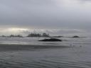 Tofino 036