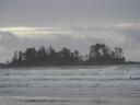 Tofino 040