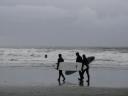 Tofino 045