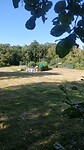 IMG-20240809-WA0016