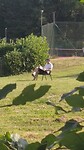 VID_20240806_092557