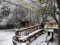 IMG_20241121_115122