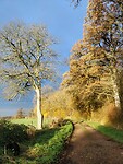 IMG_20241127_090647