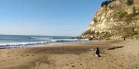 IMG_20250223_081225