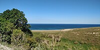 IMG_20250220_163800
