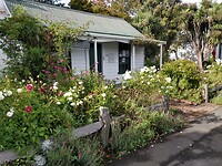 IMG_20250325_102948