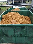 IMG_20250319_103158