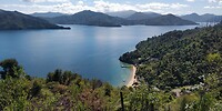 IMG_20250307_121238