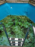 IMG_20250524_151042