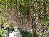 IMG_20250518_160103