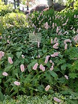 IMG_20250518_160732