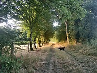 IMG_20250816_074838