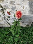 IMG_20251017_175713