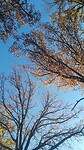 20251107_082907