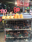 Foodmarket4