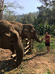 New_friends_1