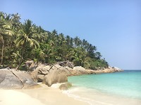 IMG_3745