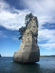 CAthedralCove_rock