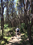AbelTasman_Track2