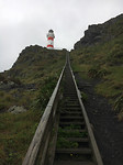 CapePalliser