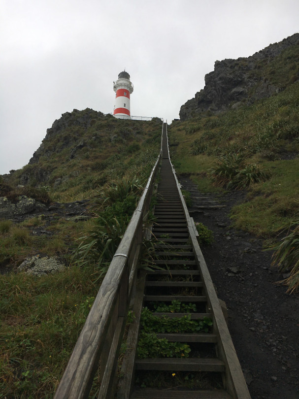 CapePalliser