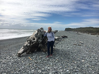GillespiesBeach