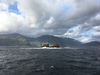 TasmanSea