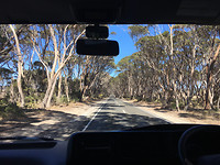 KangarooIsland_road