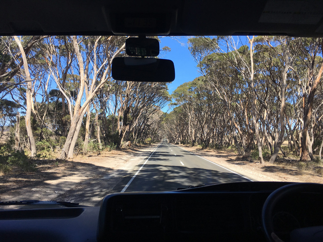 KangarooIsland_road