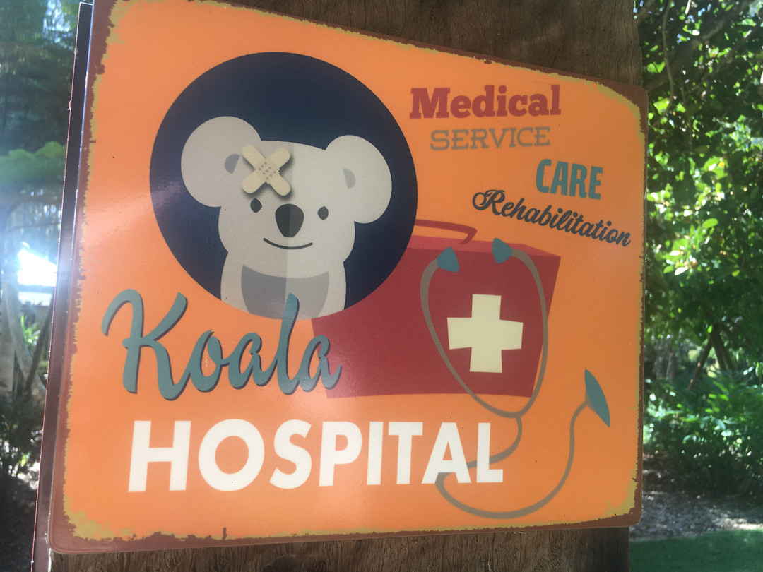 KoalaHospital
