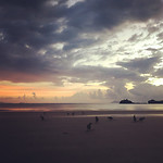 RoosOntheBech1