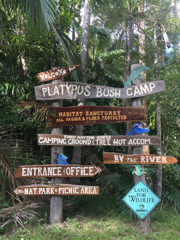 PlatypusBushcamp
