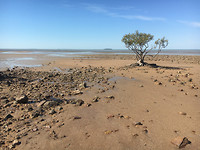 DessertOrBeach