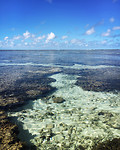 LayElliot_Lagoon